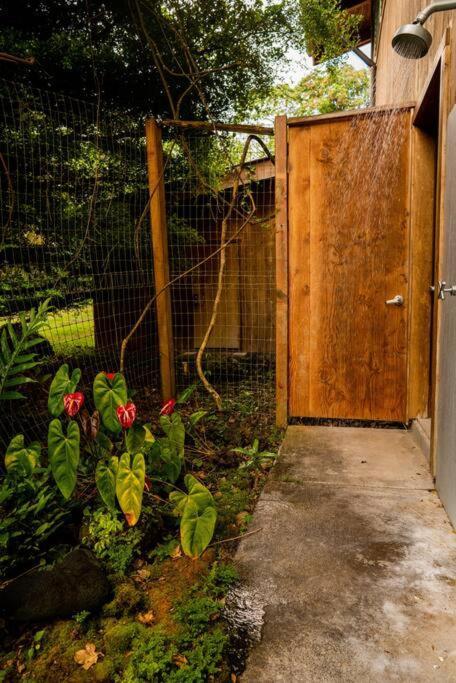 Jungle Haven Ocean Front Eco Villa On Fruit Farm Pahoa Dış mekan fotoğraf
