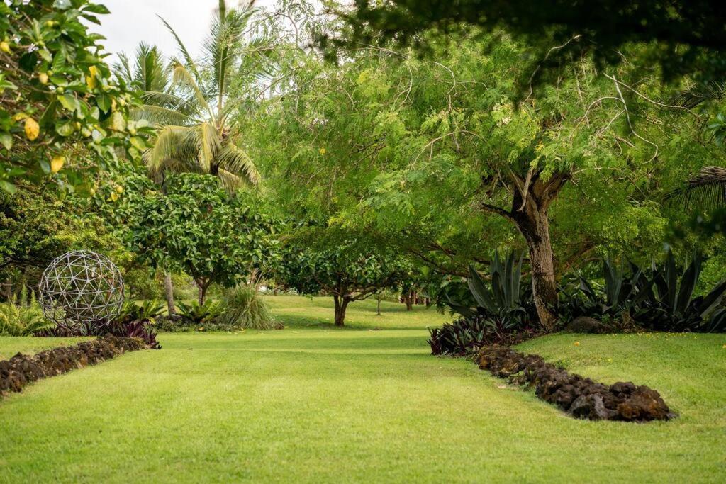 Jungle Haven Ocean Front Eco Villa On Fruit Farm Pahoa Dış mekan fotoğraf