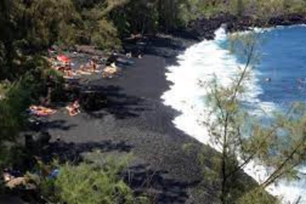 Jungle Haven Ocean Front Eco Villa On Fruit Farm Pahoa Dış mekan fotoğraf