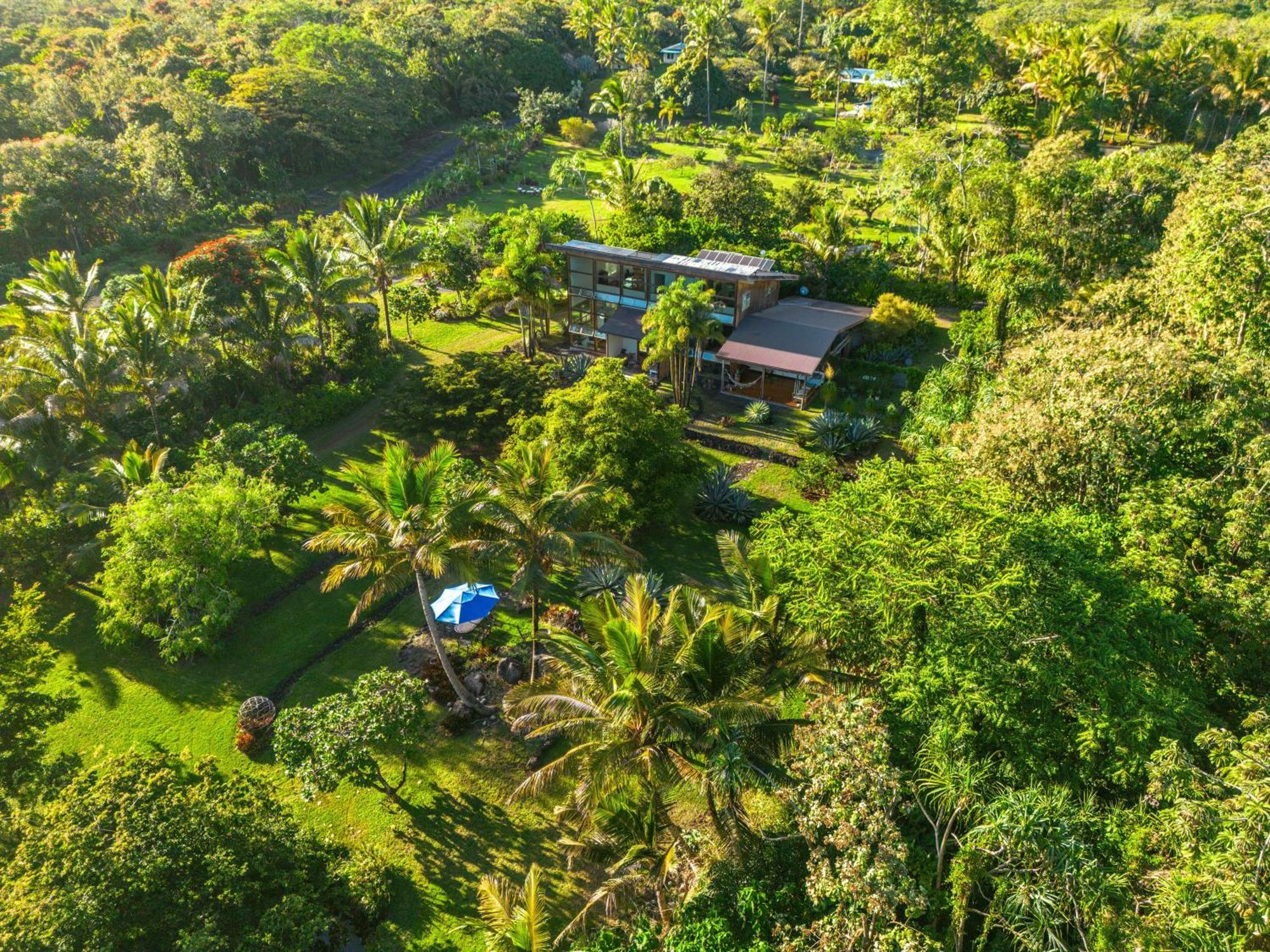 Jungle Haven Ocean Front Eco Villa On Fruit Farm Pahoa Dış mekan fotoğraf