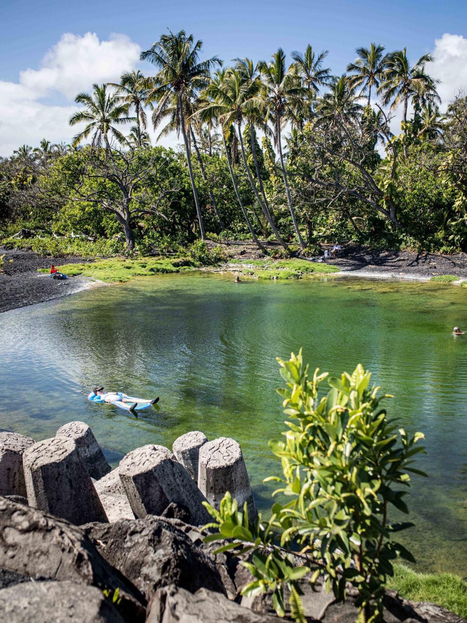 Jungle Haven Ocean Front Eco Villa On Fruit Farm Pahoa Dış mekan fotoğraf
